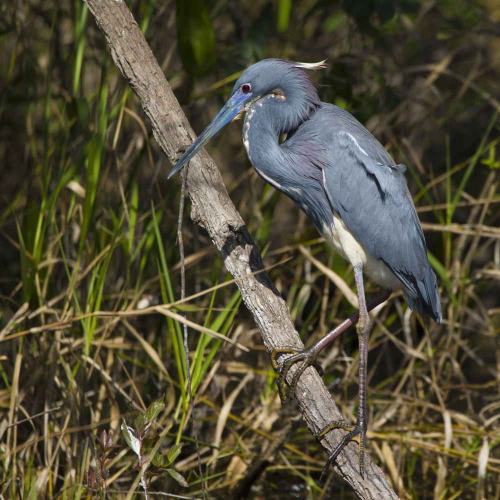 Photograph by Светлана Барабанщикова