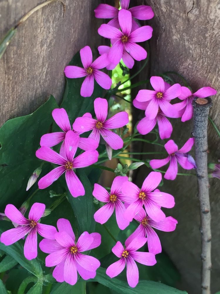 Photograph by maria gabriela alegria