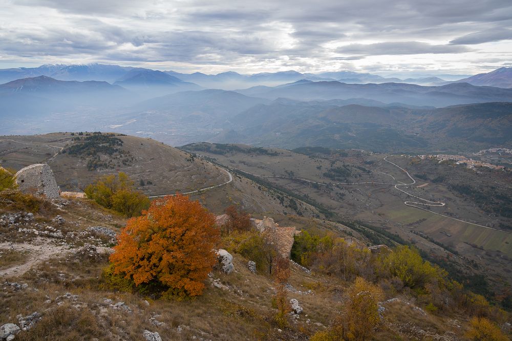 Photograph by Максимова Дария