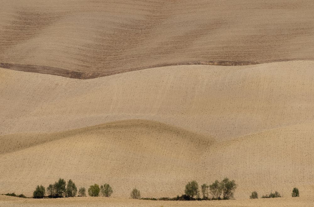 Photograph by Luana Luci