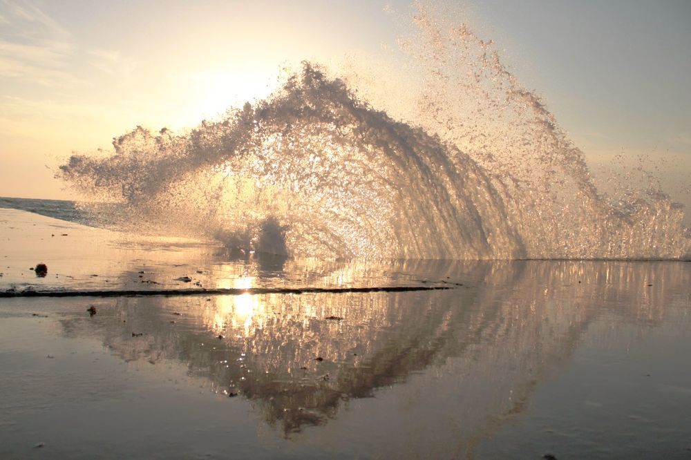 Photograph by Алена Макарова