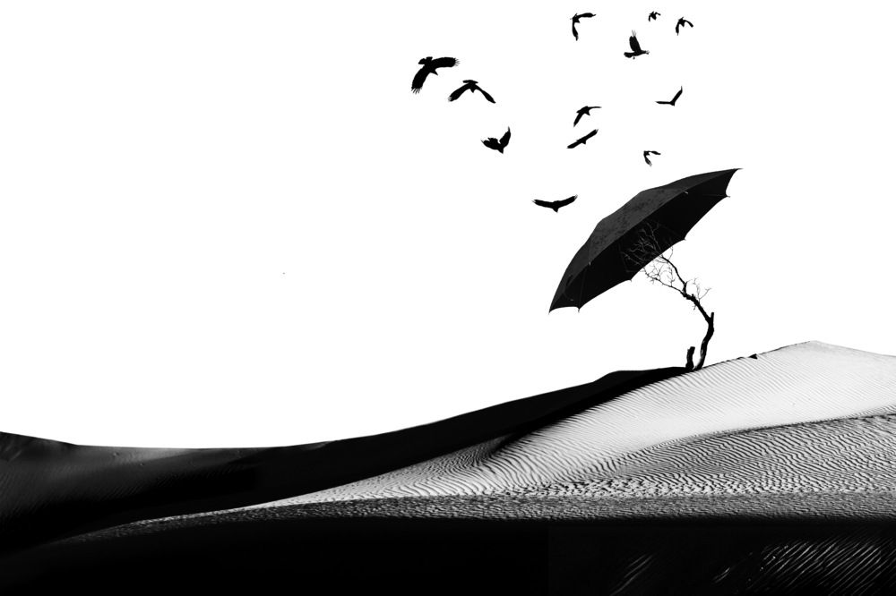 Photograph by Светлана