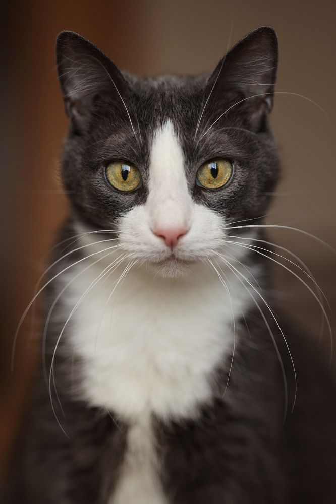 Photograph by Наталия Иванова