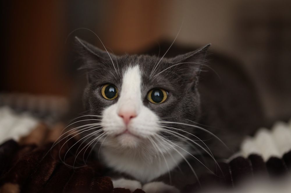 Photograph by Наталия Иванова