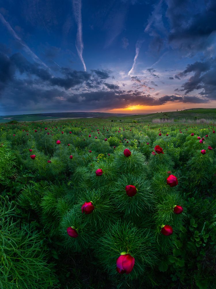 Photograph by Светлана Иванова