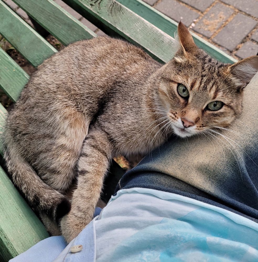 Ну, рассказывай что-нибудь!