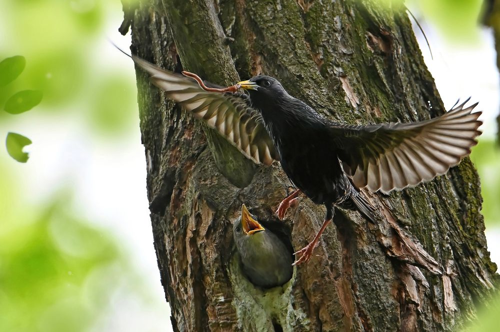 Photograph by Чернобай Анна