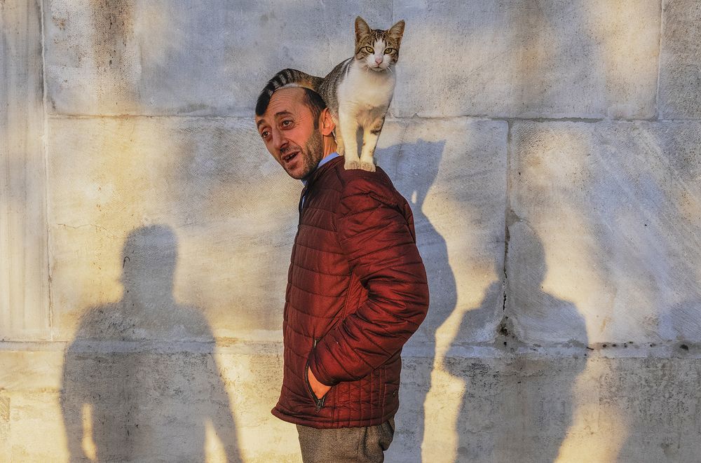 Photograph by eminonderselcuk@hotmail.com