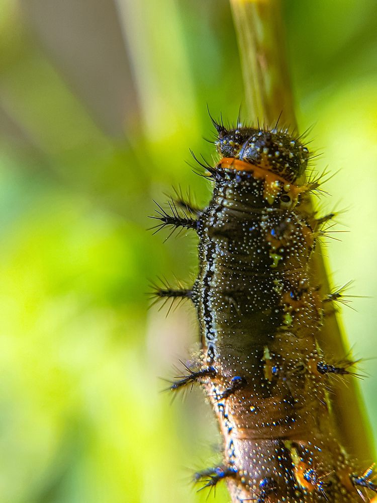 Photograph by Janmenjoy Mahata