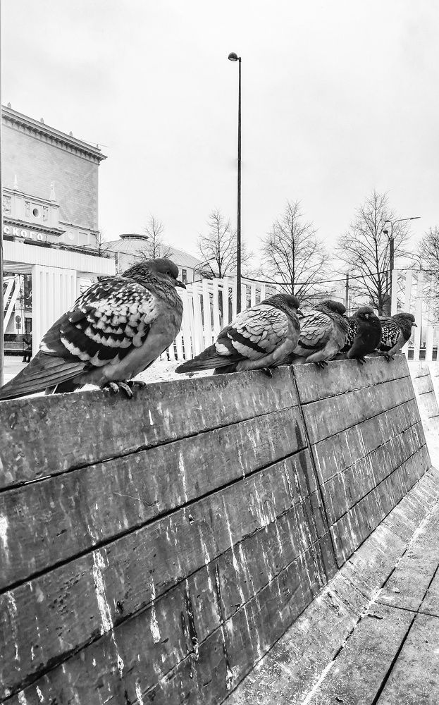 Photograph by Симикова Светлана