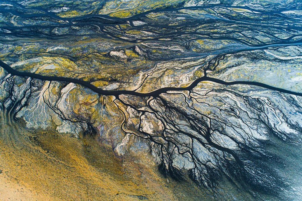 Фотография автора Amin Malekzadeh