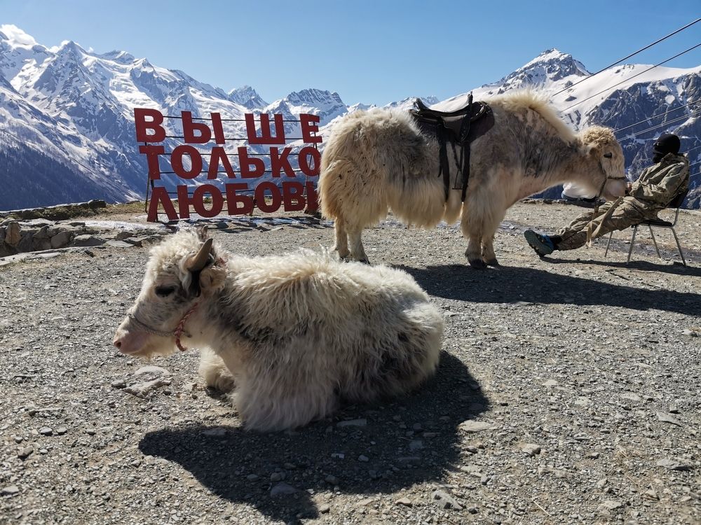 Photograph by Денис