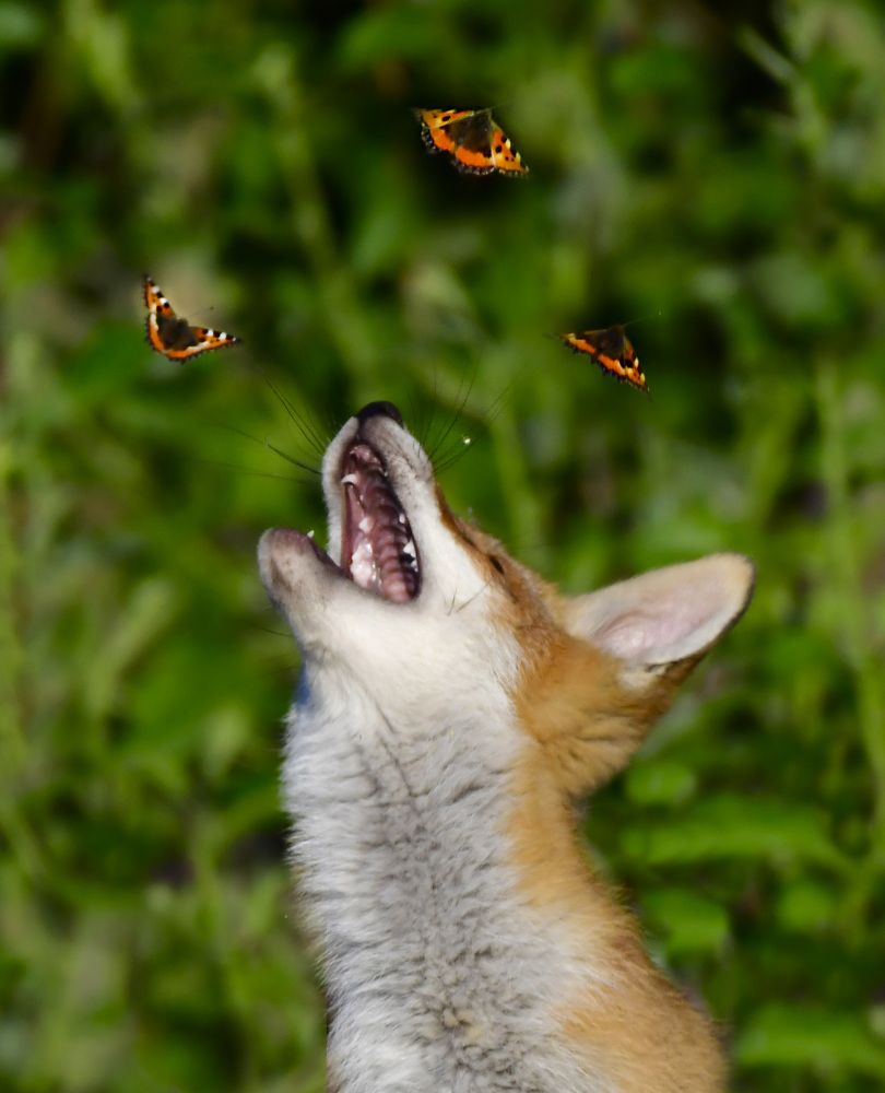 Photograph by Елена