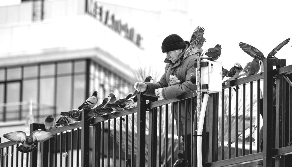 Photograph by Эдуард Щербаков