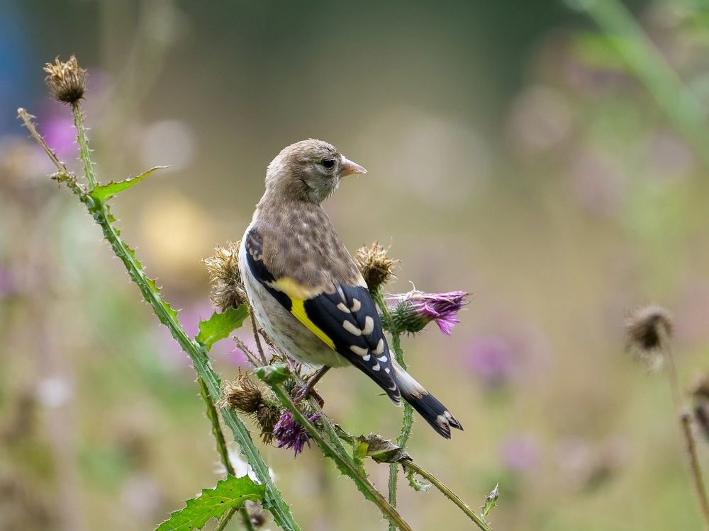 Photograph by Вера Машина