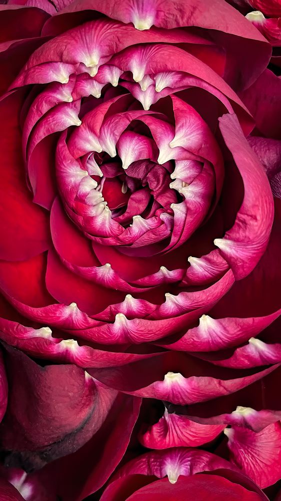 Photograph by Алёна Алешкевич