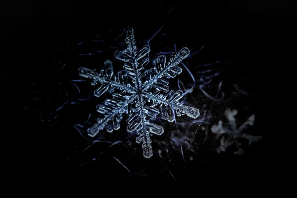 Фотография автора Ola La