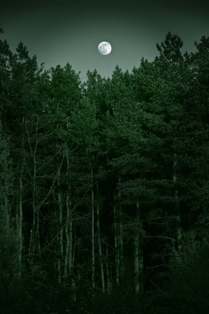 Photograph by Геннадий Натье (Игнатьев)