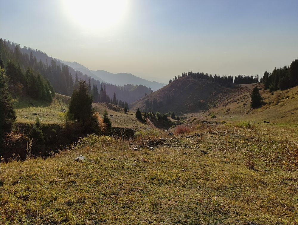 Photograph by Ферзаулин Руслан