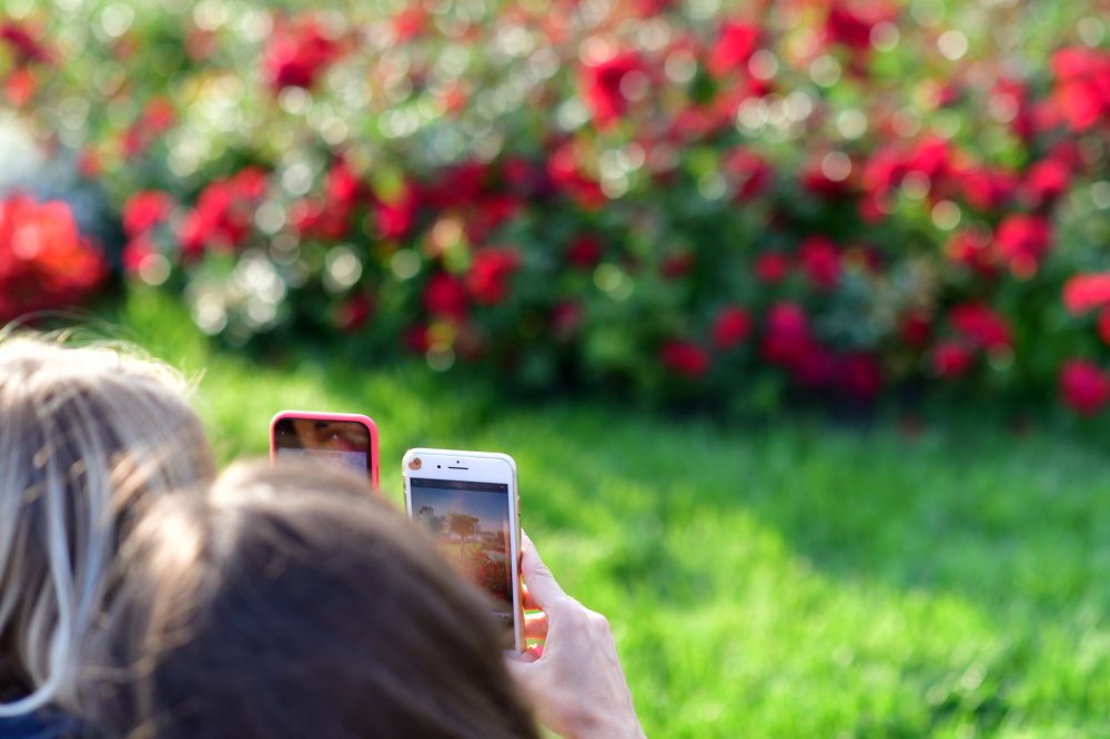 Красное и Белое