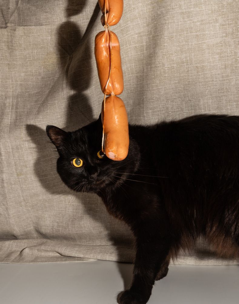 Photograph by Артем Соколов