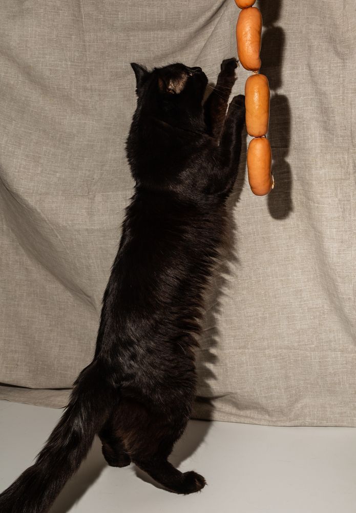 Photograph by Артем Соколов