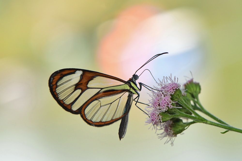 Photograph by Moura Denis