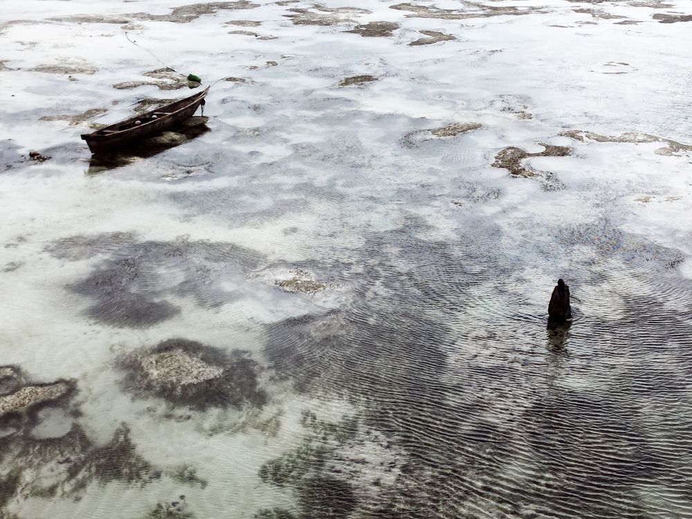 Photograph by Mateusz Kuo Stolarski