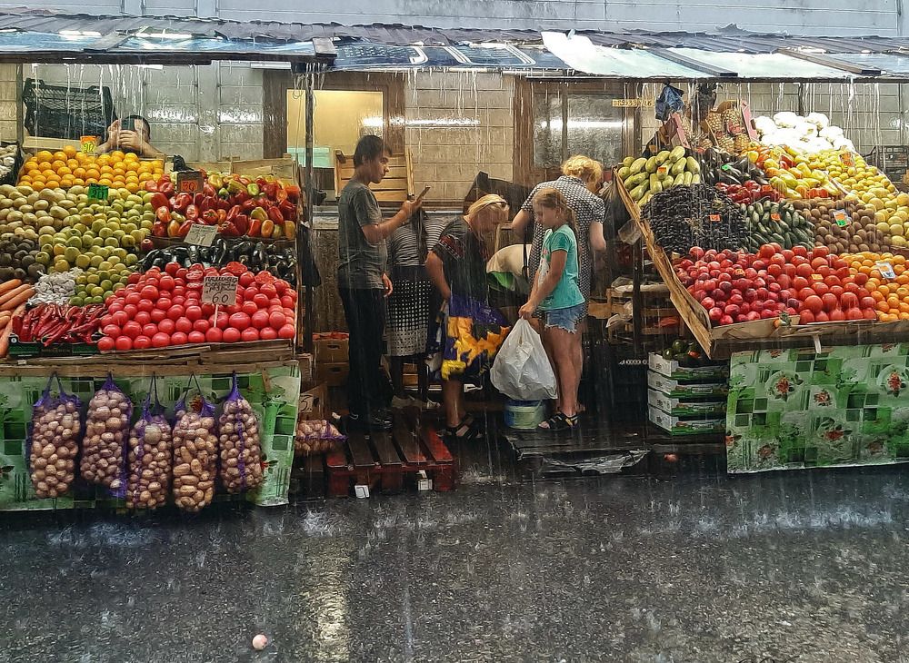 Фотография автора Ольга Виноградова