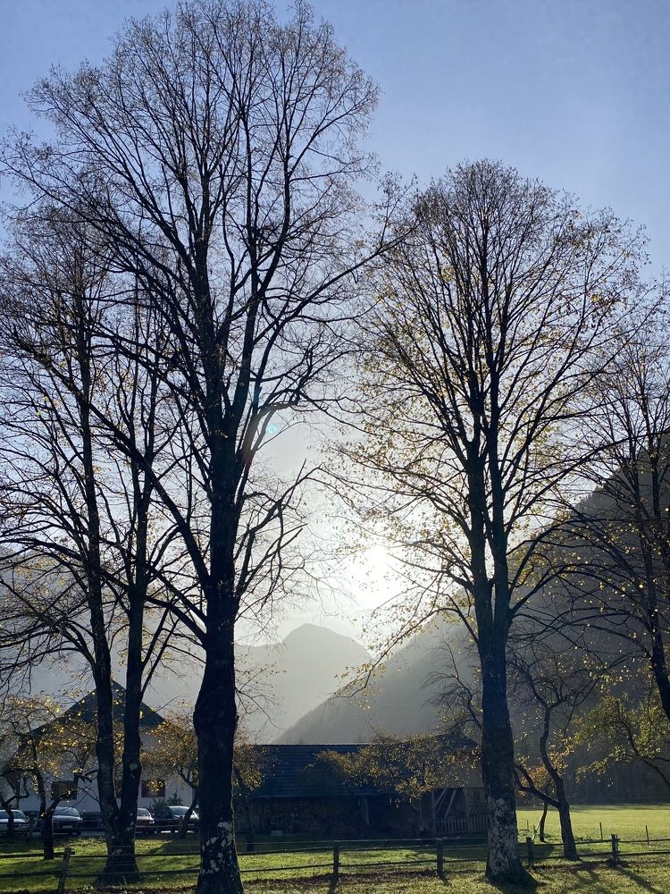Photograph by Jegorova Jelena