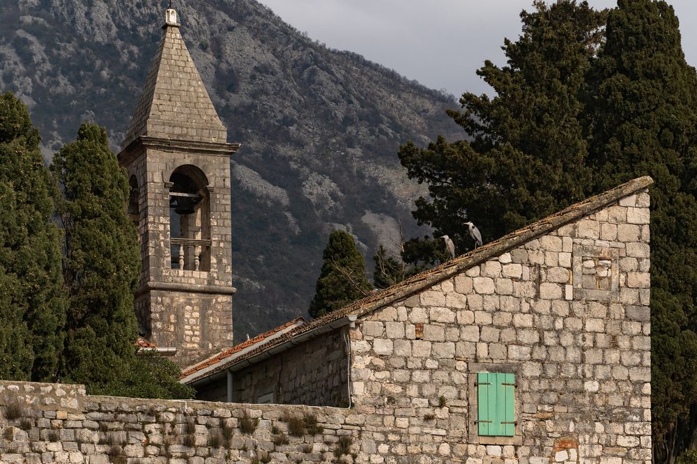 Photograph by Maksim Goncharov