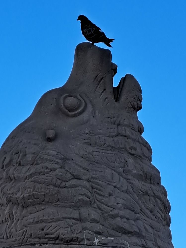 Фотография автора Gustavo Pecelis