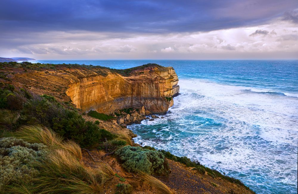 Фотография автора Victoria Shamrock