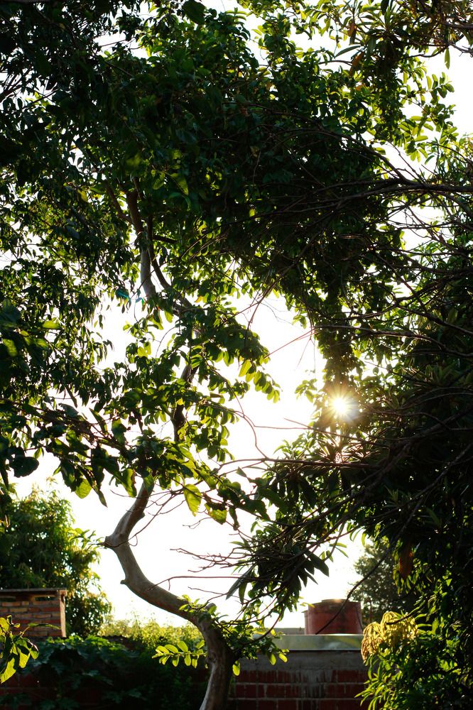 Nacimiento de la naturaleza