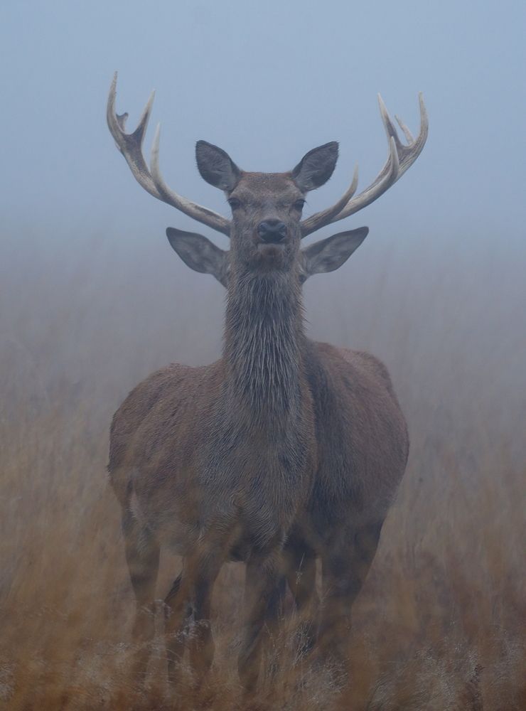 Фотография автора Kowalski Jaroslaw