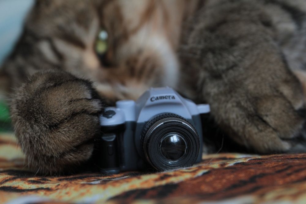 Photograph by Наталья Рябоконенко