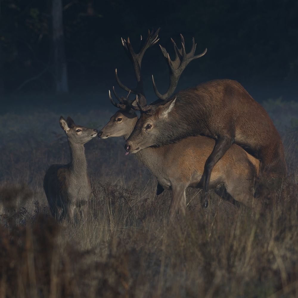 Фотография автора Kowalski Jaroslaw