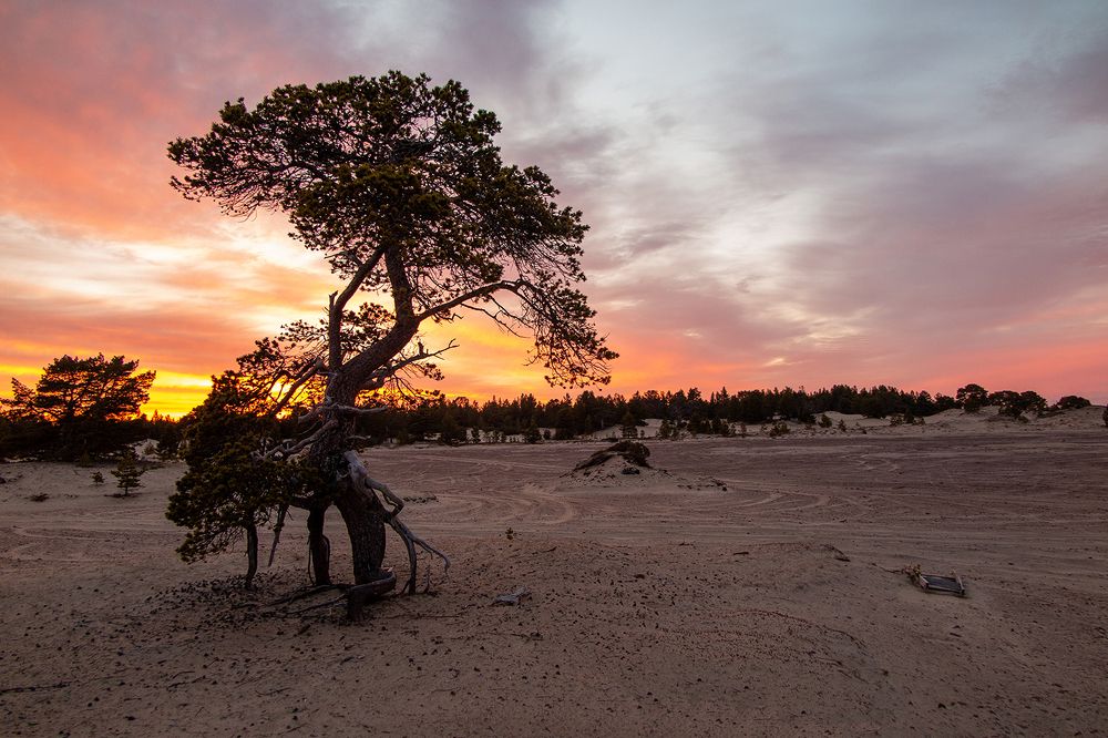 Кузоменские пески