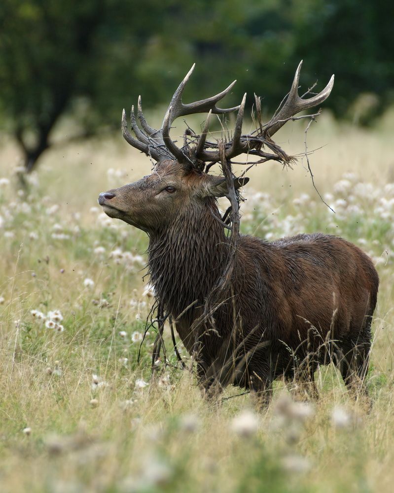 Фотография автора Kowalski Jaroslaw