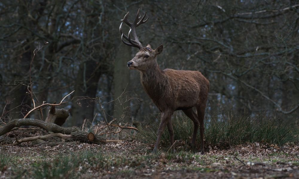 Фотография автора Kowalski Jaroslaw