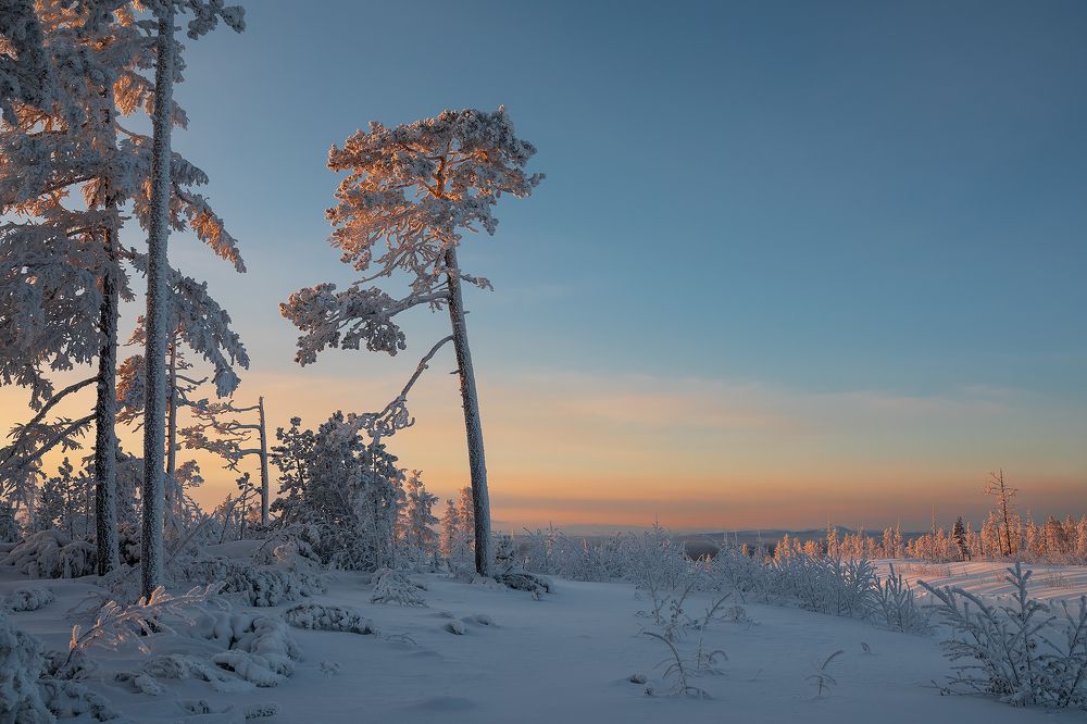 Photograph by Зарышнюк Роман