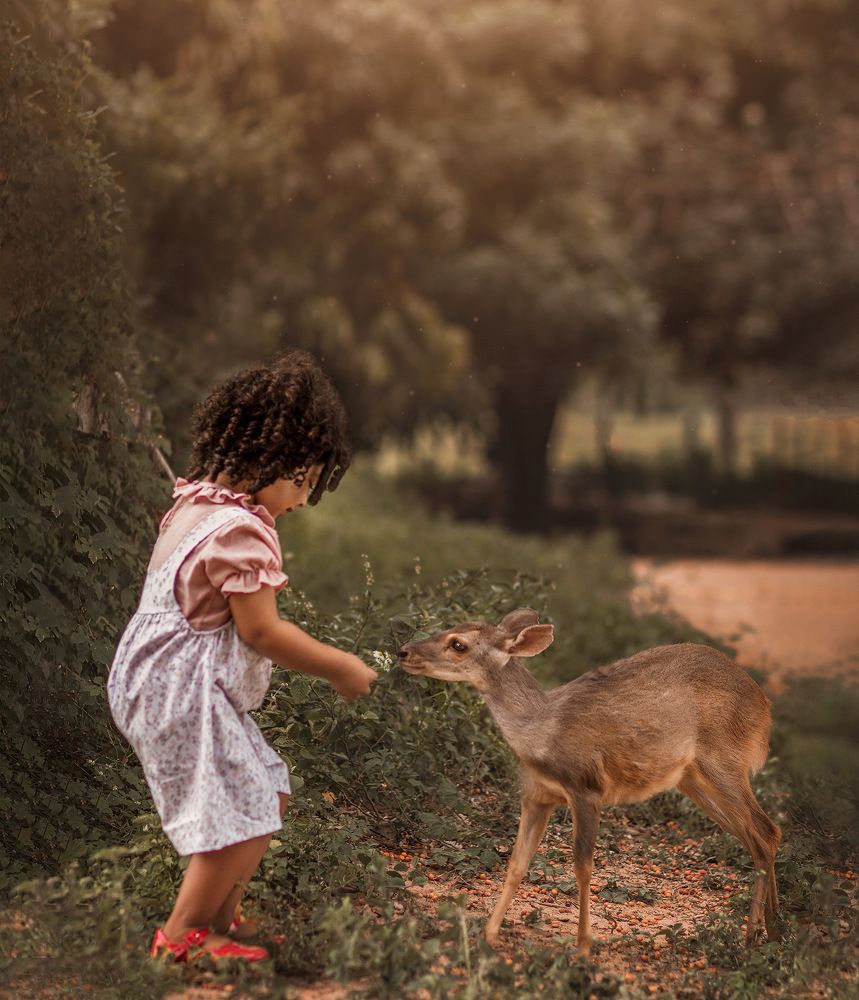 Photograph by Sommer photography