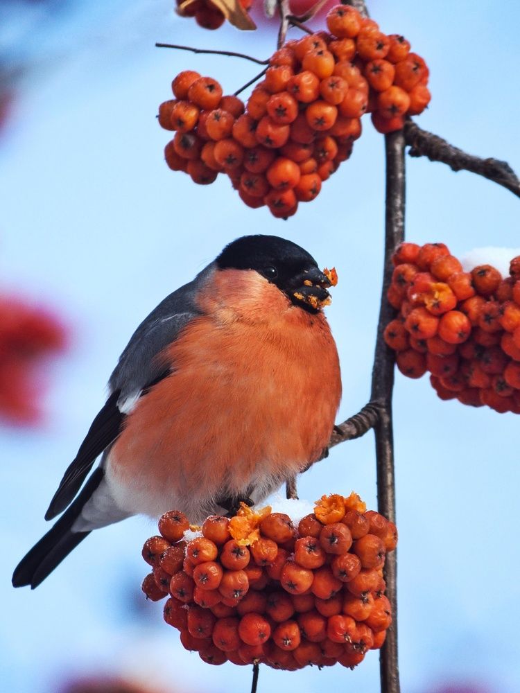 Photograph by Юлия Серазетдинова