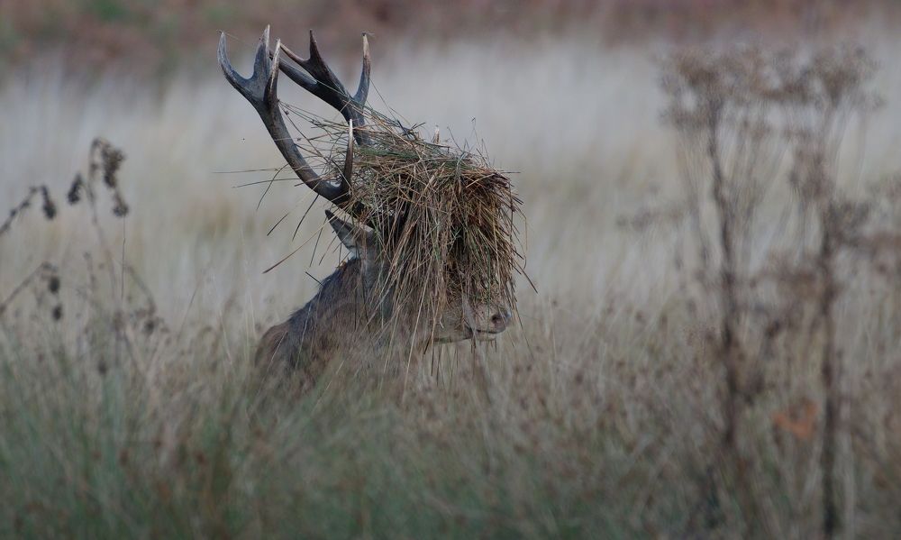 Фотография автора Kowalski Jaroslaw