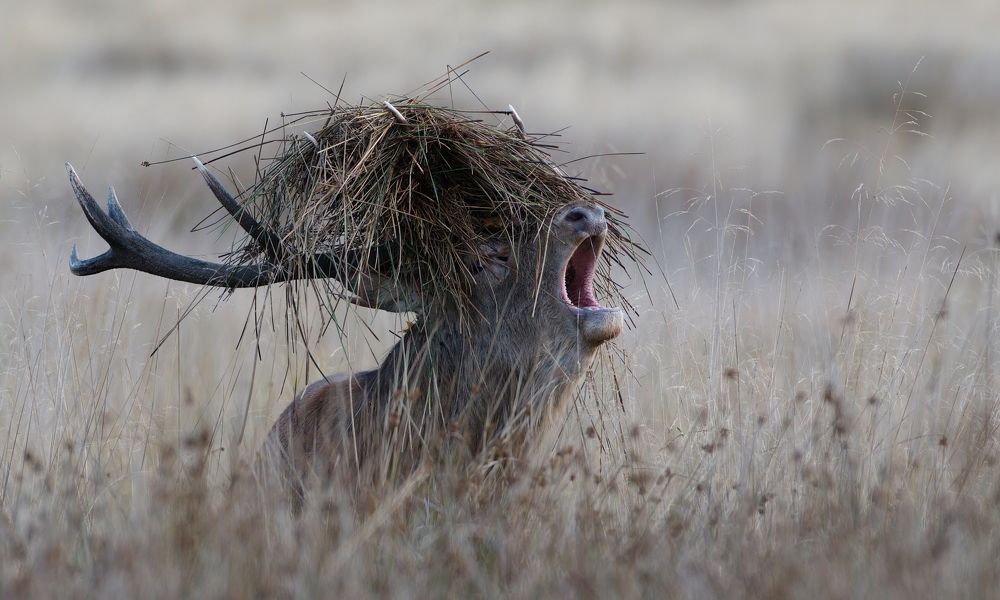 Фотография автора Kowalski Jaroslaw