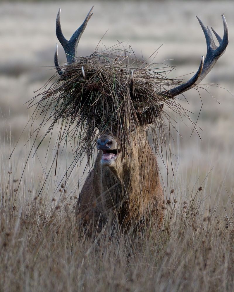 Фотография автора Kowalski Jaroslaw