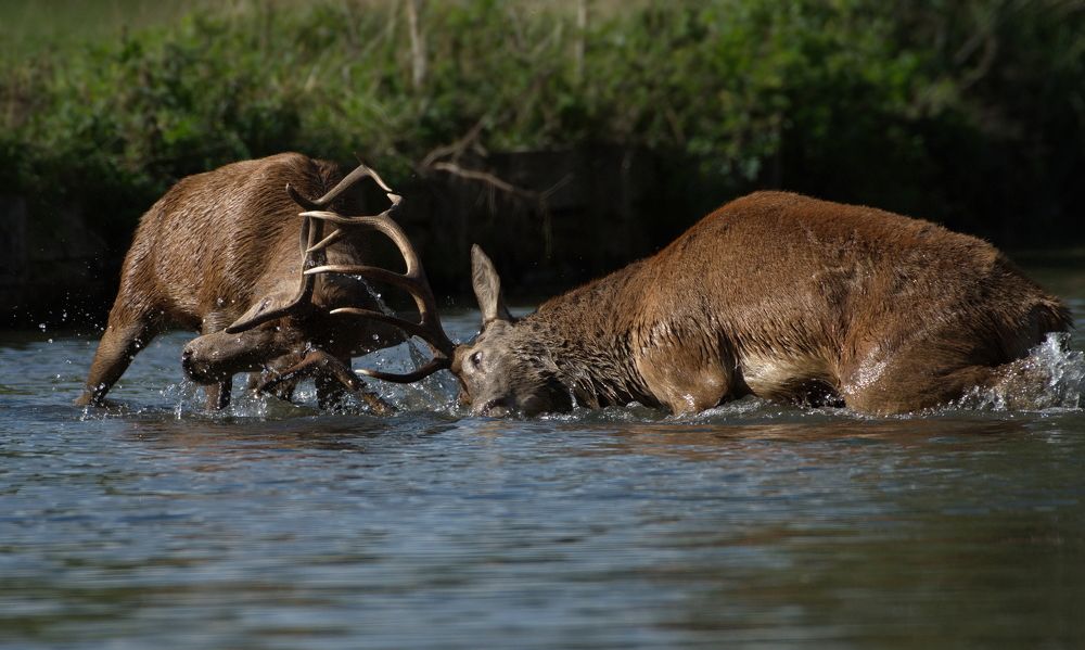 Фотография автора Kowalski Jaroslaw