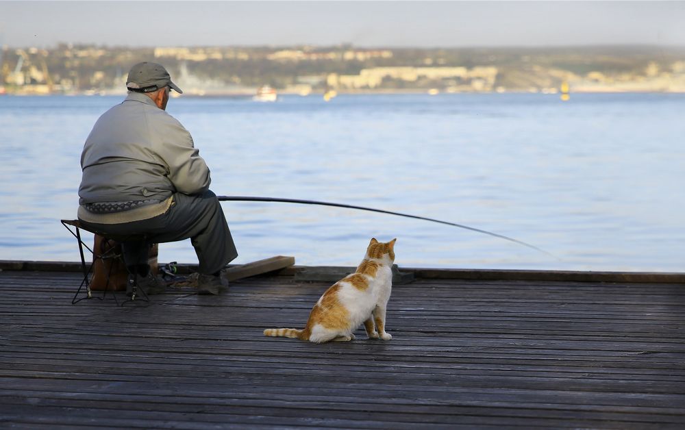 Photograph by Виктор Смирнов