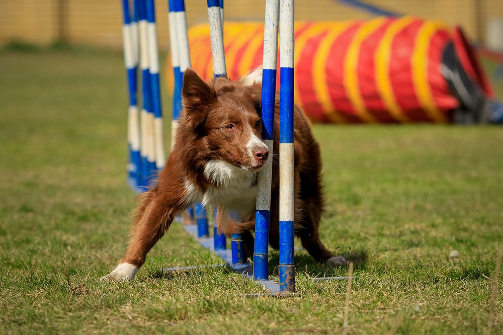 Photograph by Ольга Легенькая