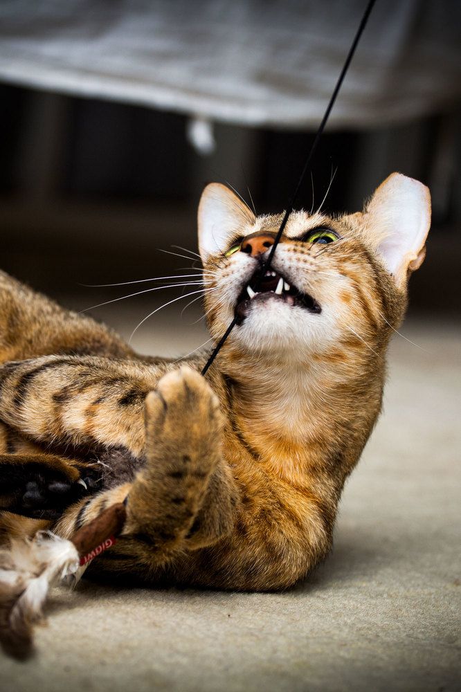 Photograph by Sanja Ristivojevic